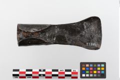 Foto von Eisendechsel (NHMW-PRAE-023817)